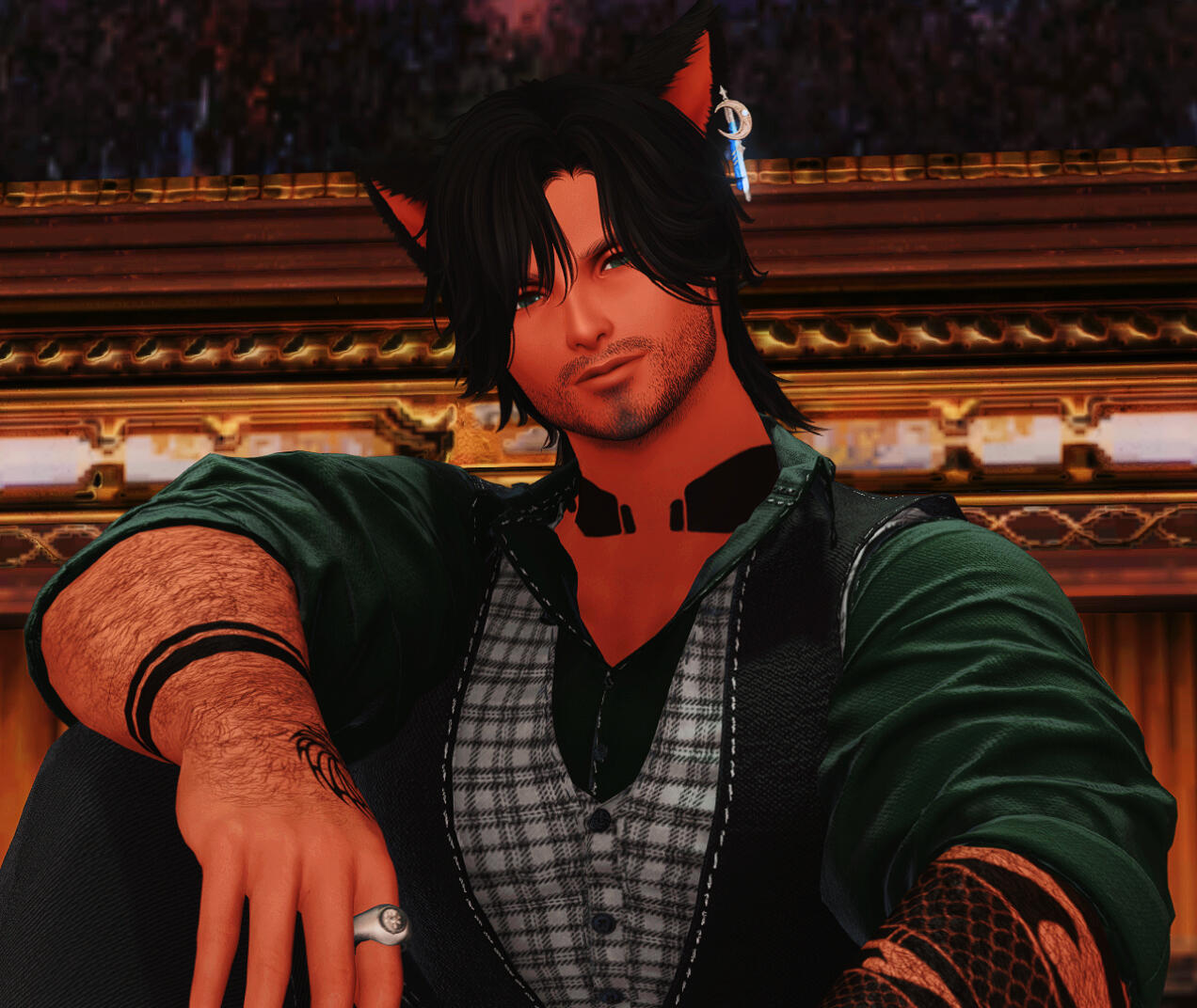 Seeker of the Sun Miqo'te